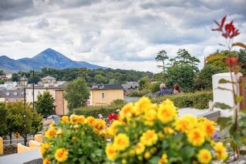 Фото Лоджи Taim Lodge г. Уэстпорт 3